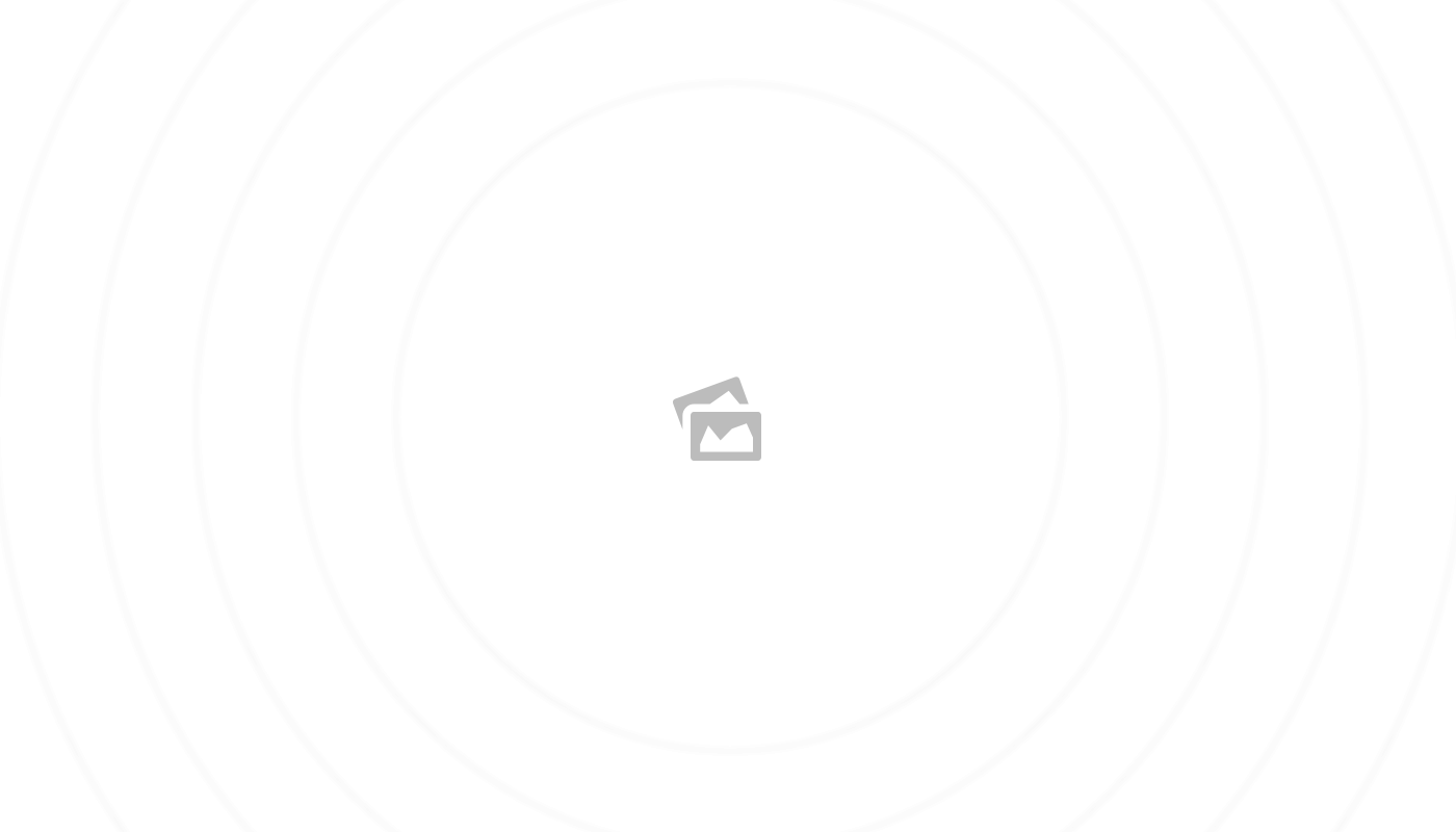 Les meilleurs divertissements à découvrir dans un casino